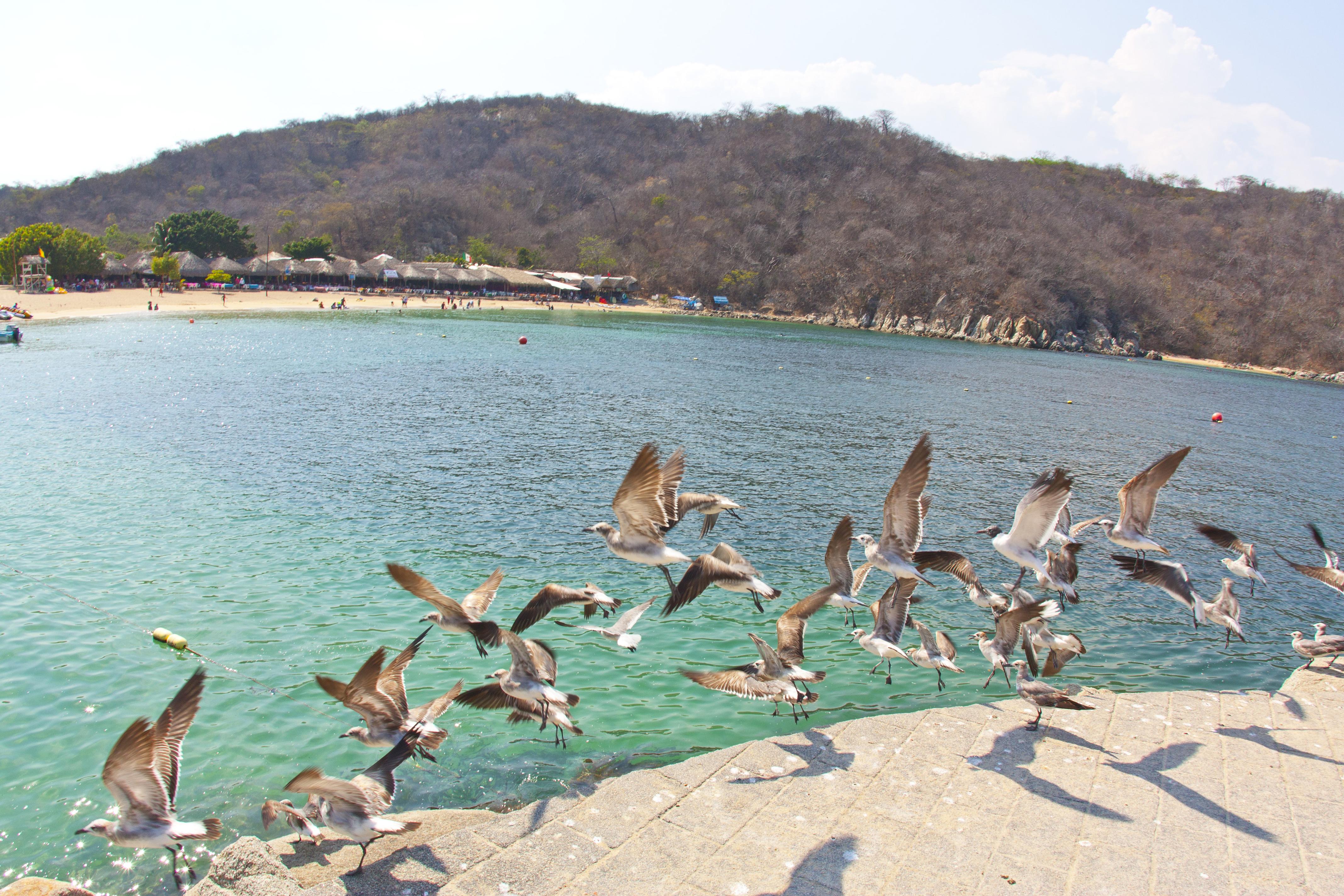 Villa Blanca Huatulco Santa Cruz Huatulco Exteriör bild
